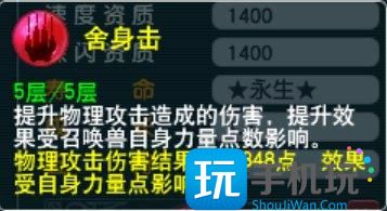 《梦幻西游》攻宝宝如何增加伤害 攻宝宝增伤方法详情