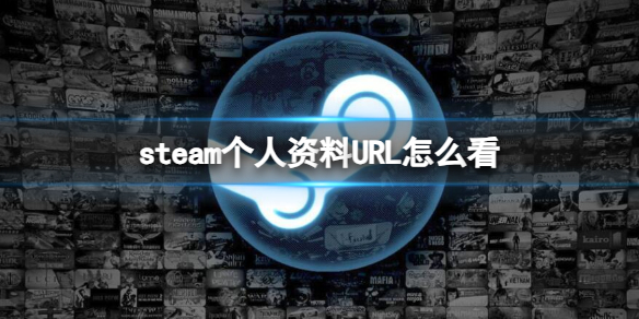 steam个人资料URL怎么看-steam个人资料URL查看方法介绍 