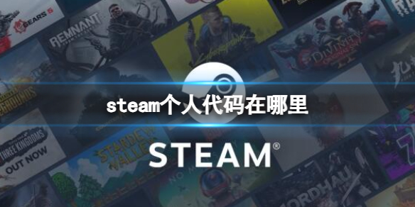 steam个人代码在哪里-steam个人代码所在位置介绍 