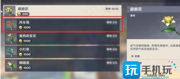 原神风车菊在哪里购买 原神风车菊购买位置一览