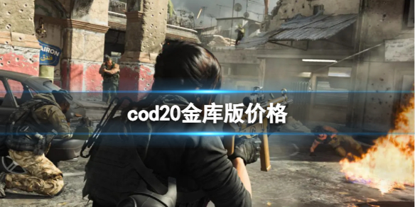 cod20金库版价格-cod20金库版价格一览 