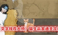 《文字找茬大师》猫生赢家通关攻略 