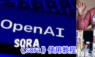 《sora》使用教程 