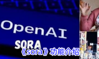 《sora》功能介绍 