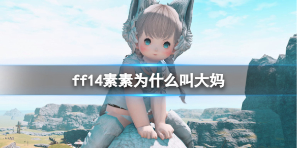 ff14素素为什么叫大妈-ff14素素外号大妈原因介绍 