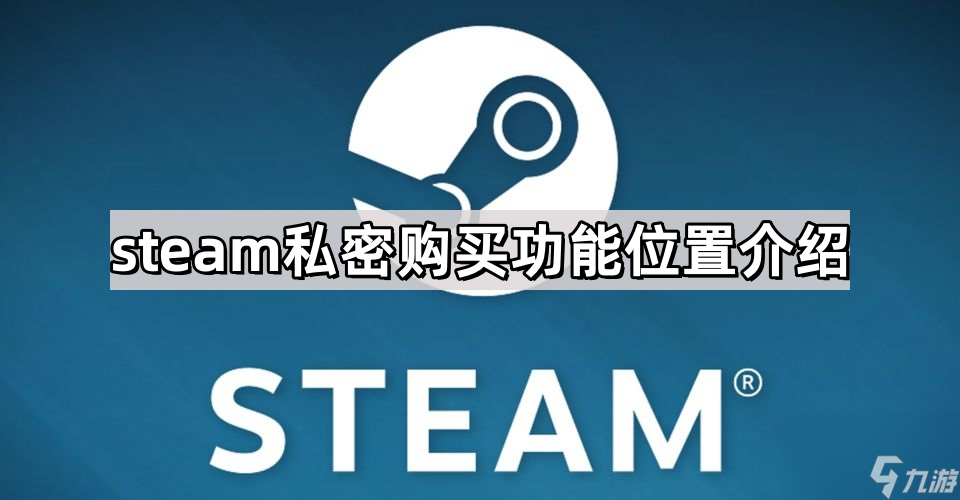 steam私密购买功能位置介绍