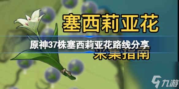 原神4.4塞西莉亚花全采集路线,原神37株塞西莉亚花路线分享