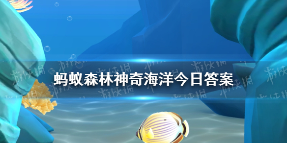 以下哪种海洋鱼类有着忧伤鱼的称号 神奇海洋今日答案3.6最新