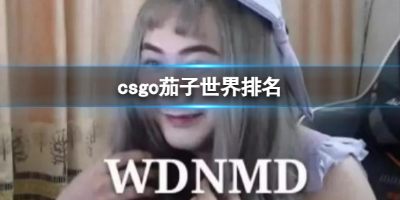 csgo茄子世界排名-csgo茄子世界排名介绍