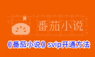 《番茄小说》svip开通方法