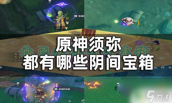 原神须弥隐藏什么 原神须弥隐藏宝箱攻略