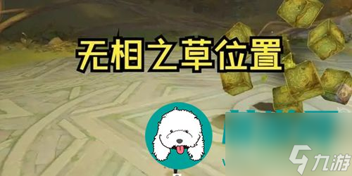 原神无相之草在哪-原神无相之草的位置介绍