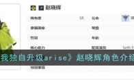 《我独自升级arise》赵晓辉角色介绍