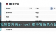 《我独自升级arise》崔中寅角色介绍
