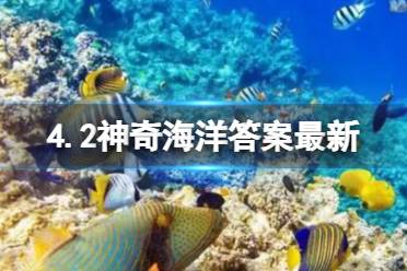 被称为“海瓜子”的海洋动物是一种贝类吗 神奇海洋 4.2答案最新 