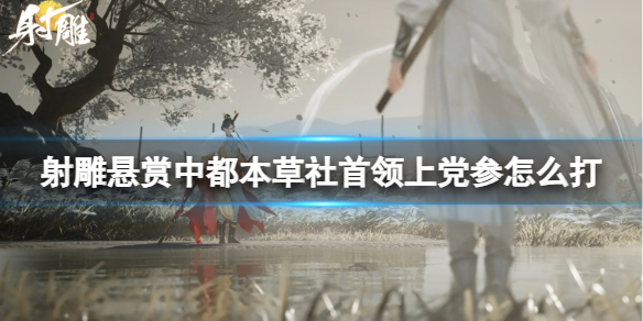 射雕悬赏中都本草社首领上党参怎么打-都本草社首领上党参打法攻略