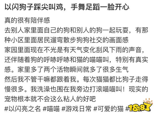 强推！申请《以闪亮之名》游戏加入养宠人必入清单