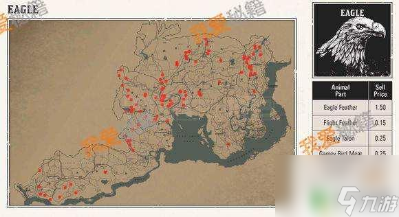 荒野大镖客老鹰视角 荒野大镖客2鹰羽毛获取攻略