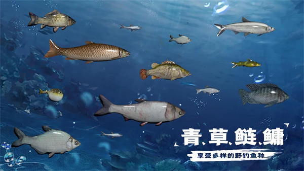 《天天钓鱼》水族箱收入怎么算