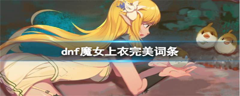 dnf魔女上衣完美属性