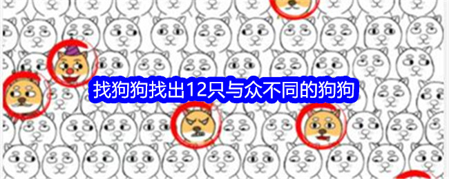 《就我眼神好》找狗狗找出12只与众不同的狗狗通关攻略