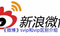 《微博》svip和vip区别介绍