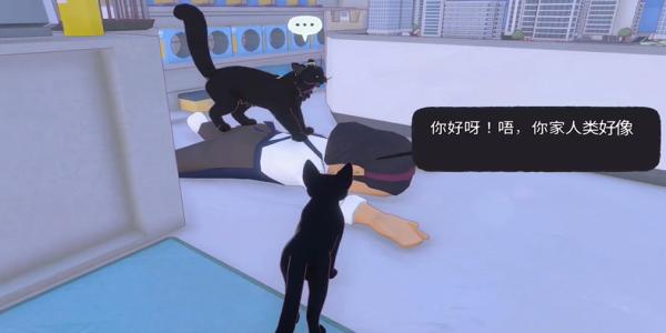 小猫咪大城市踩奶动作获取攻略图2