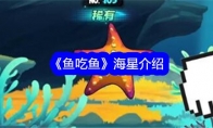 《鱼吃鱼》海星介绍 