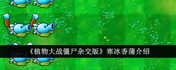 《植物大战僵尸杂交版》寒冰香蒲介绍