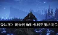 《艾尔登法环》黄金树幽影卡利亚魔法剑位置介绍 