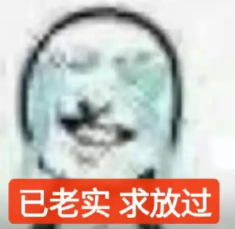 已老实求放过梗介绍