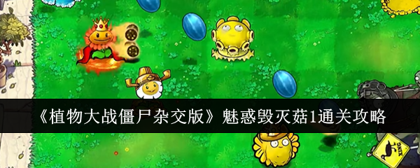 《植物大战僵尸杂交版》魅惑毁灭菇1通关攻略