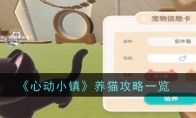 《心动小镇》养猫攻略一览