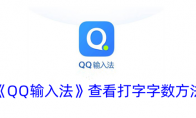 《QQ输入法》查看打字字数方法