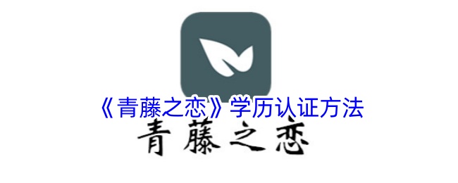 《青藤之恋》学历认证方法