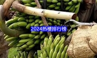 2024热梗排行榜