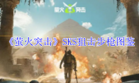 《萤火突击》SKS狙击步枪图鉴