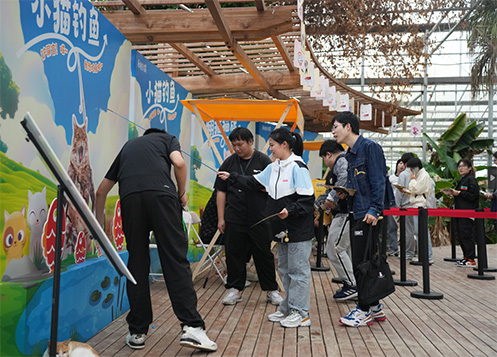 《永恒之塔》携手玩家登陆“上海猫岛”参与公益项目关爱社区流浪猫