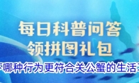 以下哪种行为更符合关公蟹的生活习性