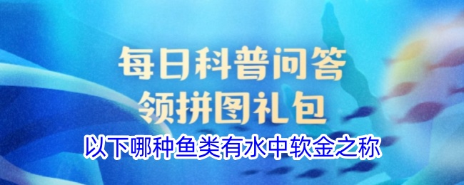 以下哪种鱼类有水中软金之称