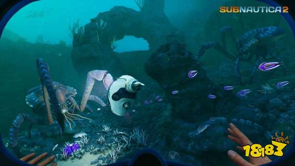 Unknown Worlds公开《Subnautica 2》最新信息