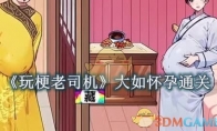 《玩梗老司机》大如怀孕怎么过 