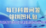 以下哪种螃蟹光洁如玉遇到危险时会假装成石头 