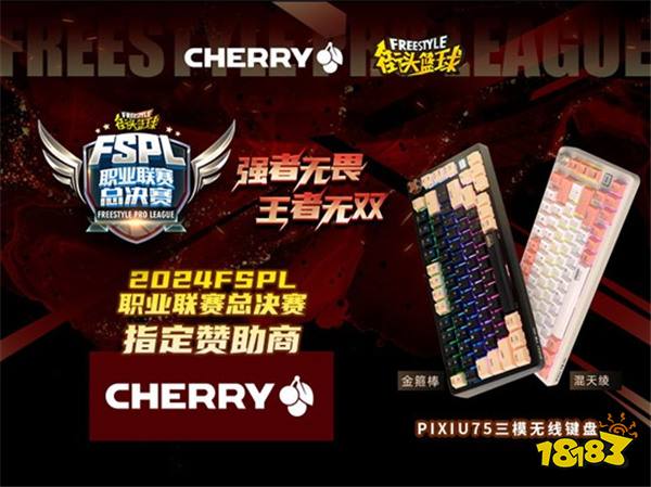 王者无双 CHERRY赞助2024FSPL职业联赛总决赛