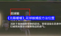 《无限暖暖》花球娘捕捉方法位置 