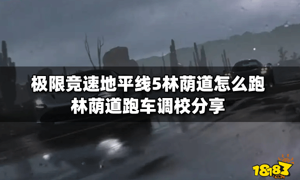 极限竞速地平线5林荫道怎么跑林荫道跑车调校分享 