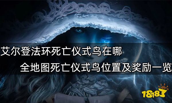 艾尔登法环死亡仪式鸟在哪全地图死亡仪式鸟位置及奖励一览 