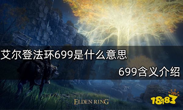 艾尔登法环699是什么意思699含义介绍 