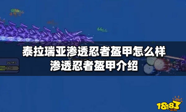 泰拉瑞亚渗透忍者盔甲怎么样渗透忍者盔甲介绍 