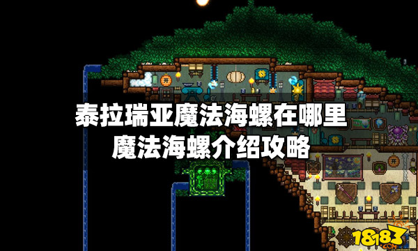 泰拉瑞亚魔法海螺在哪里魔法海螺介绍攻略 